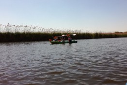 Kajaki Gubin 